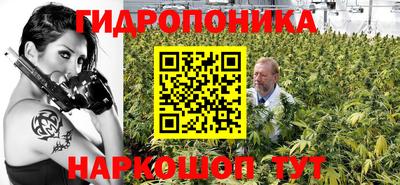 шишки Краснодар