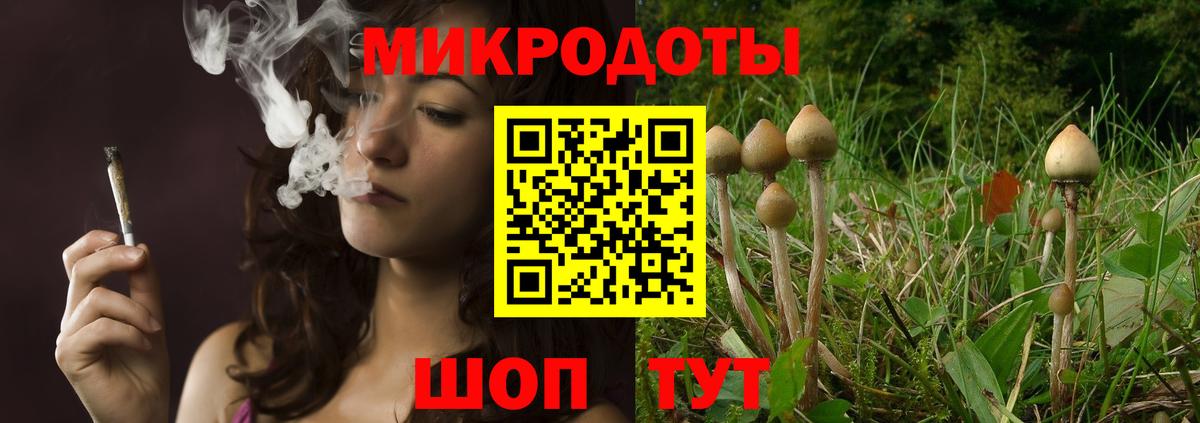 Камень-на-Оби  Галлюциногенные грибы мицелий  Вход с VPN 